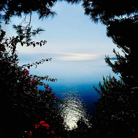 Villa Seacliff Heaven - De Vivo Realty Positano