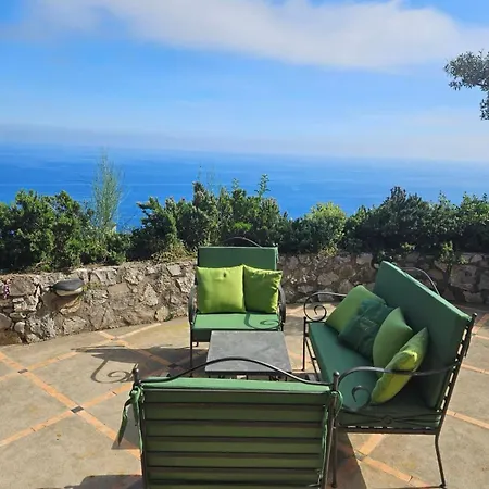 De Vivo Realty - Seacliff Heaven *